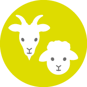 Tiere